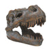 productImage-18440-tyrannosaurus-rex-schaedel-1.jpg