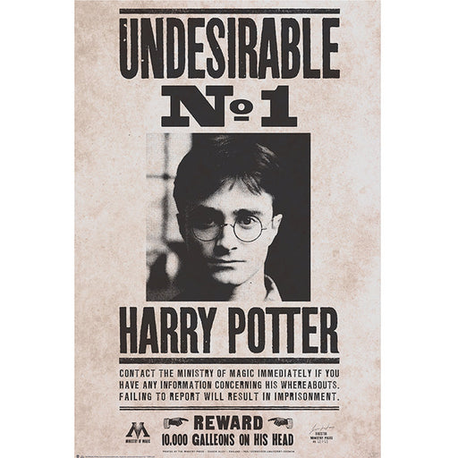 productImage-19698-harry-potter-poster-undesirable-no-1.jpg