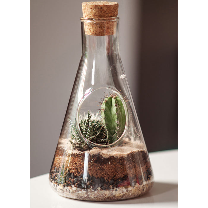 productImage-20943-laborglas-terrarium-anbauset-1.jpg