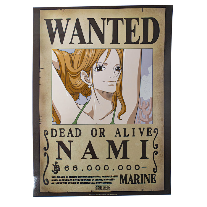 productImage-21880-one-piece-wanted-poster-4.jpg